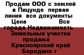 Продам ООО с землей в Пицунде, первая линия, все документы › Цена ­ 9 000 000 - Все города Недвижимость » Земельные участки продажа   . Красноярский край,Бородино г.